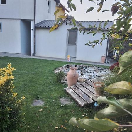 Studio Unique Διαμέρισμα Τιμισοάρα Εξωτερικό φωτογραφία