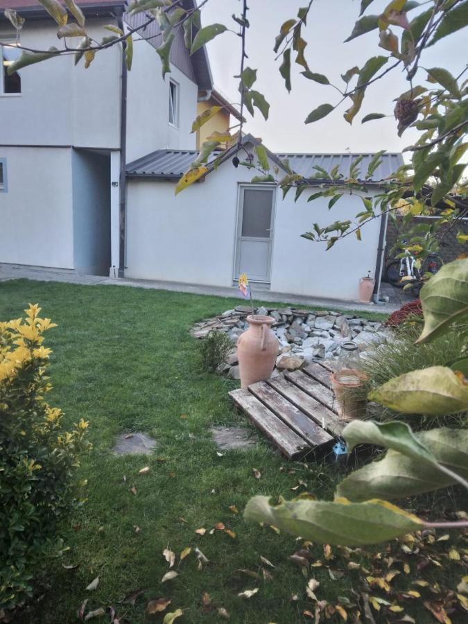 Studio Unique Διαμέρισμα Τιμισοάρα Εξωτερικό φωτογραφία