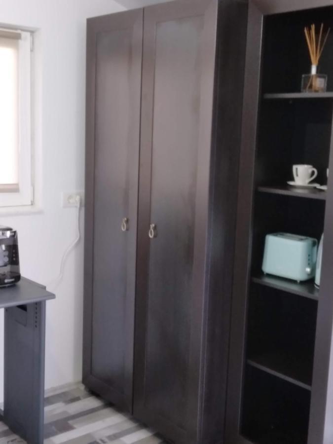 Studio Unique Διαμέρισμα Τιμισοάρα Εξωτερικό φωτογραφία